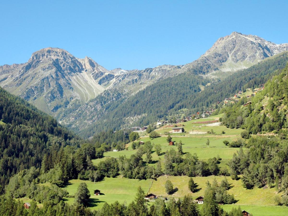 Apartment Tarcianne A Apt- 2 By Interhome Grimentz Buitenkant foto