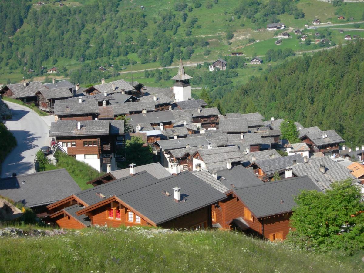 Apartment Tarcianne A Apt- 2 By Interhome Grimentz Buitenkant foto